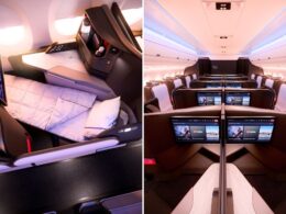 Untitled design (67)