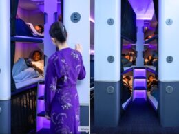 Untitled design (68)