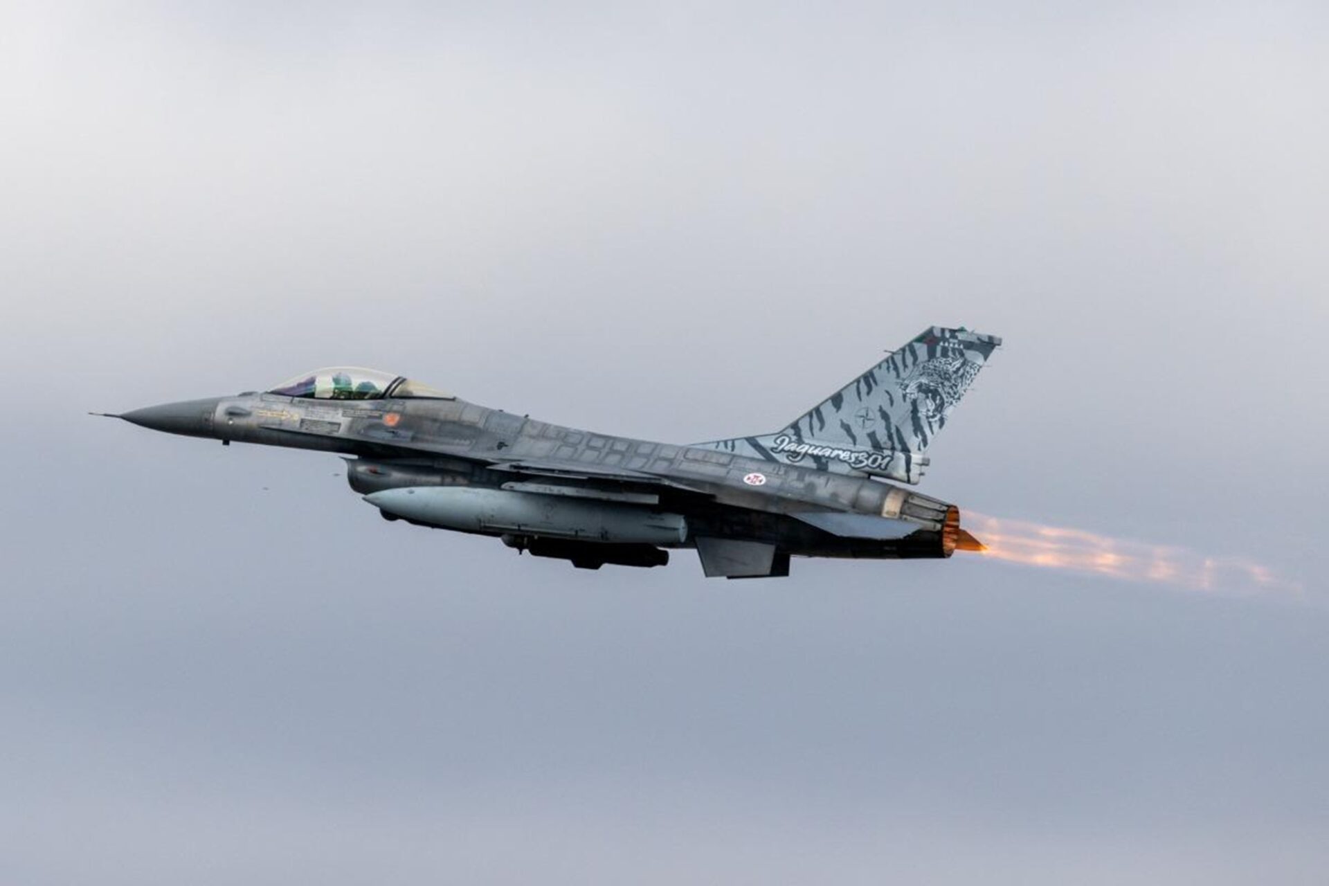 NATO fighter downs drone over Estonia in second Baltic incursion in 48 hours
