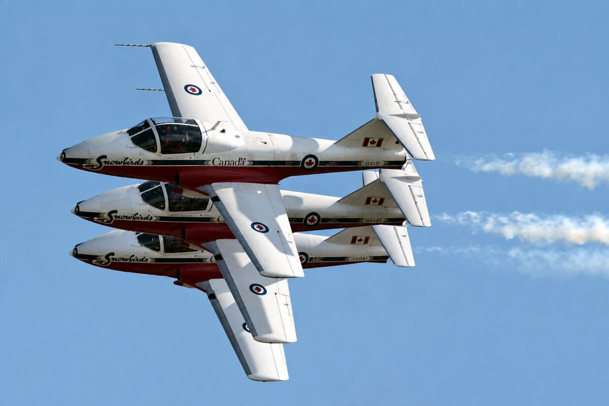 snowbirds