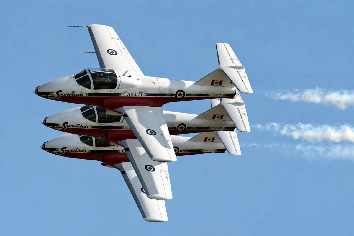 snowbirds