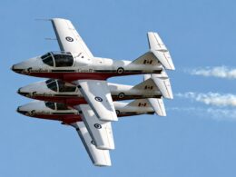 snowbirds