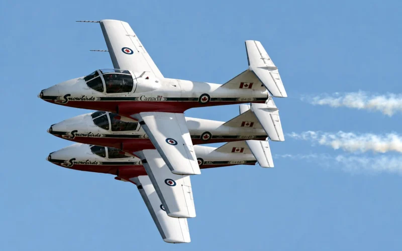 snowbirds