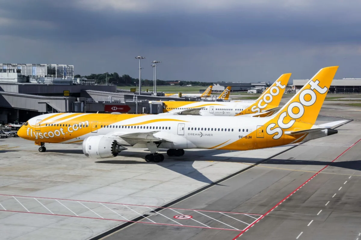 Scoot back in Jeddah after four months of flight suspension Scoot airplanes with yellow livery parked at a terminal gate with jet bridges and airport tarmac in view