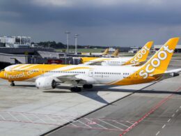 Scoot airplanes with yellow livery parked at a terminal gate with jet bridges and airport tarmac in view
