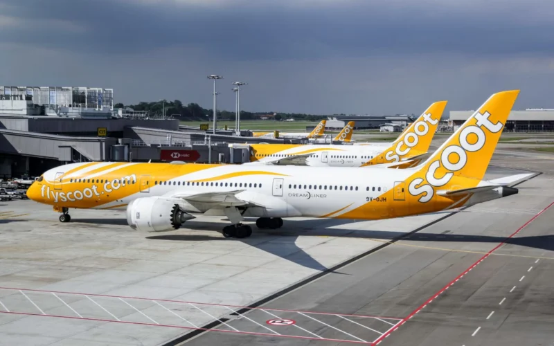 Scoot airplanes with yellow livery parked at a terminal gate with jet bridges and airport tarmac in view