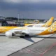 Scoot airplanes with yellow livery parked at a terminal gate with jet bridges and airport tarmac in view