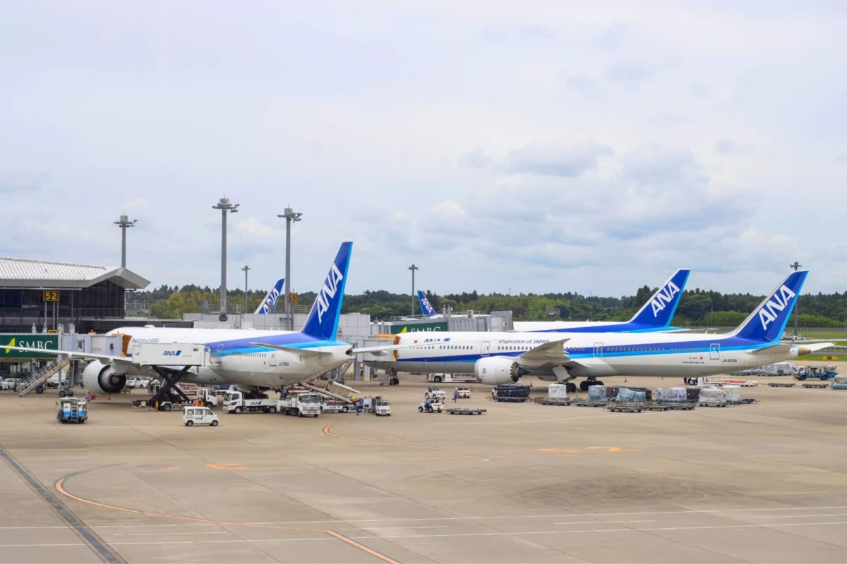 Airport tarmac with several ANA airplanes docked at gates boarding bridges and ground crew working under a cloudy sky