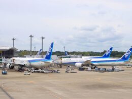 Airport tarmac with several ANA airplanes docked at gates boarding bridges and ground crew working under a cloudy sky