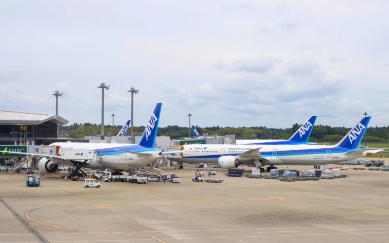 Airport tarmac with several ANA airplanes docked at gates boarding bridges and ground crew working under a cloudy sky