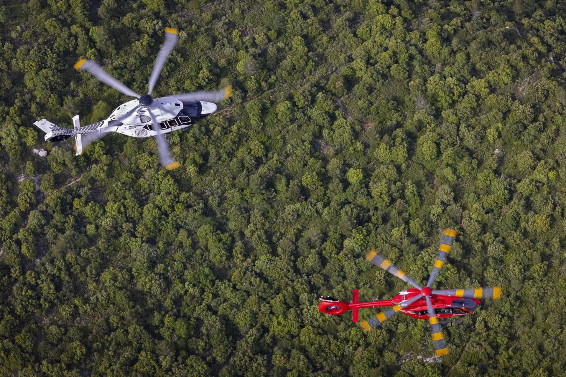Aerial view of two helicopters a white black marked helicopter in the left center and a red helicopter with yellow rotor tips nearby over a dense forest