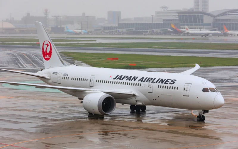 Front half of a Japan Airlines plane on a wet tarmac with a red JAL tail logo and airport buildings in the rainy background