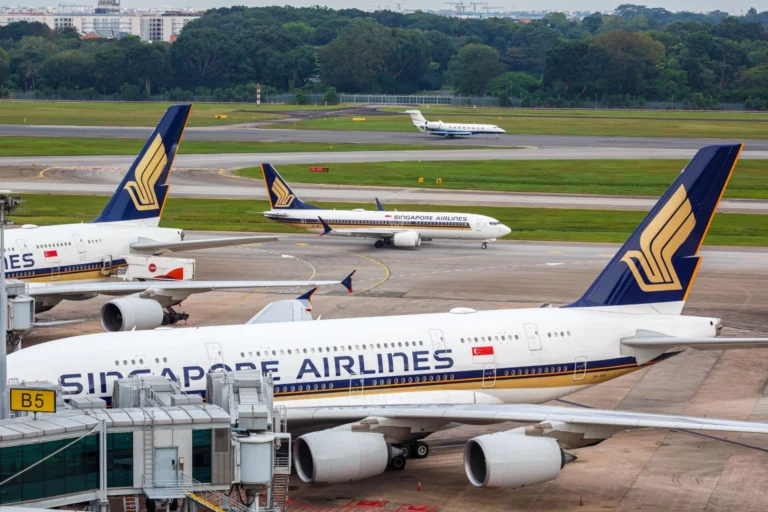 Singapore Airlines jets parked at a gate with blue and gold tail logos and a jet bridge in the foreground