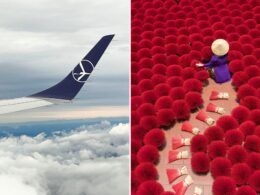 Split image left side shows an airplane wing above clouds right side shows a person in a purple outfit with a conical hat among red fluffy bushes along a path