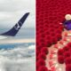 Split image left side shows an airplane wing above clouds right side shows a person in a purple outfit with a conical hat among red fluffy bushes along a path