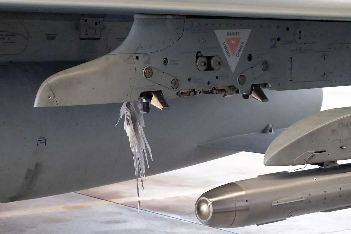 A German Air Force Eurofighter at Nörvenich Air Base following a bird strike A German Air Force Eurofighter at Nörvenich Air Base following a bird strike