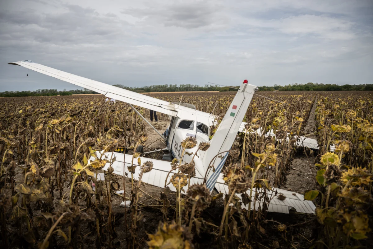 The stolen Cessna 172 lies damaged in a sunflower field near Gerjen following its forced landing The stolen Cessna 172 lies damaged in a sunflower field near Gerjen following its forced landing