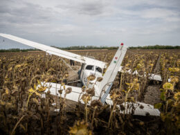 The stolen Cessna 172 lies damaged in a sunflower field near Gerjen following its forced landing