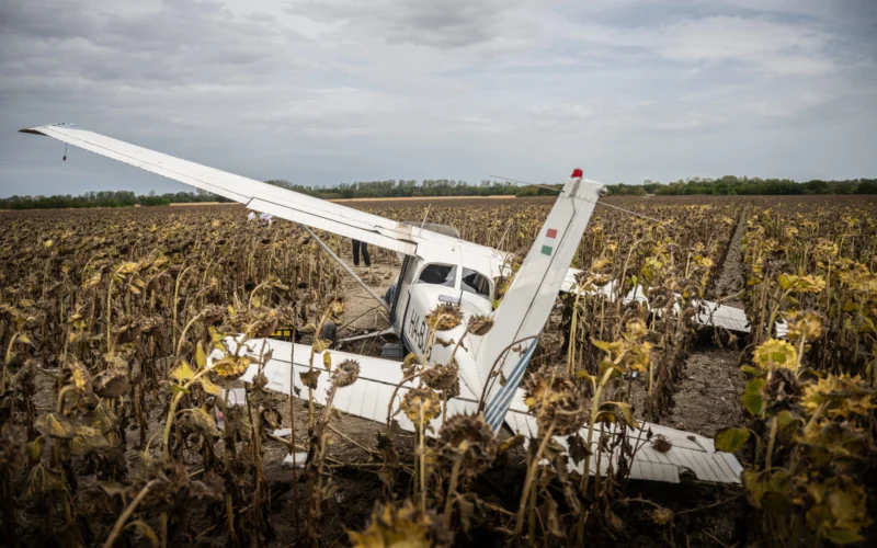 The stolen Cessna 172 lies damaged in a sunflower field near Gerjen following its forced landing