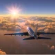 APAC airlines see June passenger dip as cargo stays firm