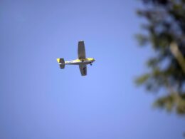Small yellow and white single engine airplane flying overhead in a clear blue sky with blurred tree on the right