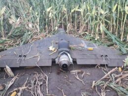 Drone wreckage resting in a cornfield with a central enginemotor housing exposed on a dark wing like fuselage