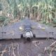 Drone wreckage resting in a cornfield with a central enginemotor housing exposed on a dark wing like fuselage