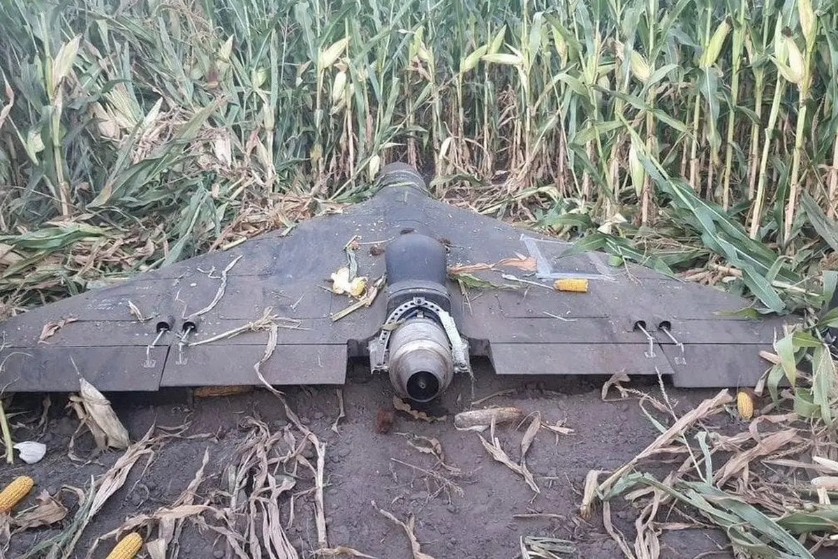 Drone wreckage resting in a cornfield with a central enginemotor housing exposed on a dark wing like fuselage