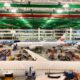 Inside a spacious aircraft maintenance hangar with a Japan Airlines plane and green and red overhead beams above the tarmac area