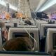 Inside an airplane cabin with ceiling panels open and many tangled wires hanging down displays screens on seatbacks are visible among the clutter