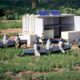 White shipping container shelter with solar panels on top crates outside and soldiers in camouflage gear in a grassy field military equipment in a training area