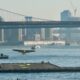 Seaplane taking off from a river with city bridges and skyscrapers in the background