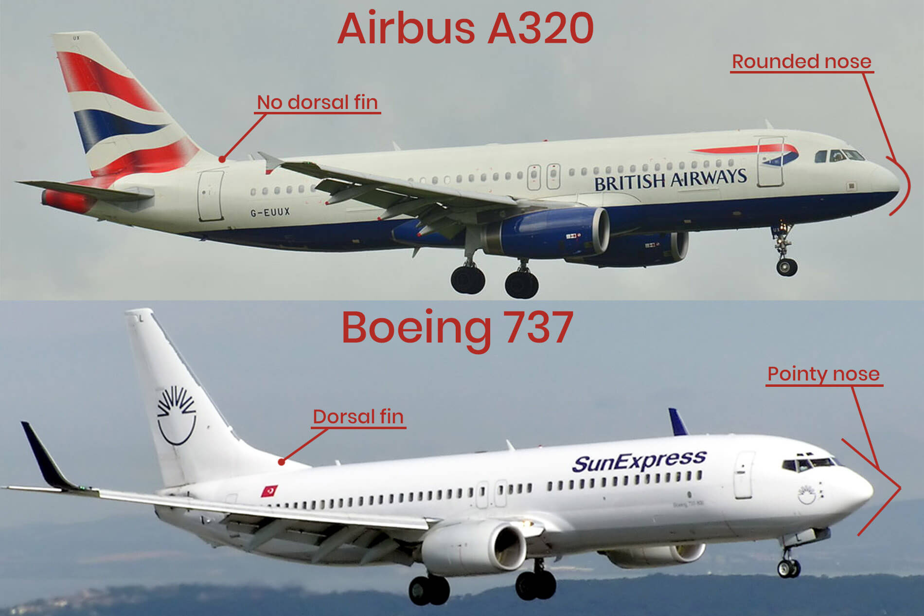 Airbus A320 Boeing 737 spotting guide