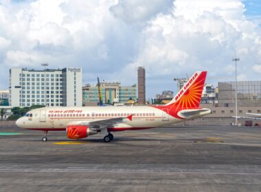 A passenger on an Air India flight was bit by a scorpion