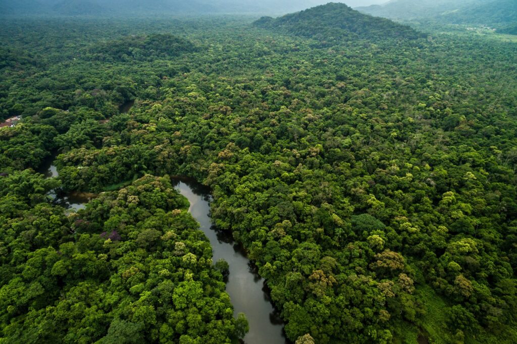Amazon jungle Colombia