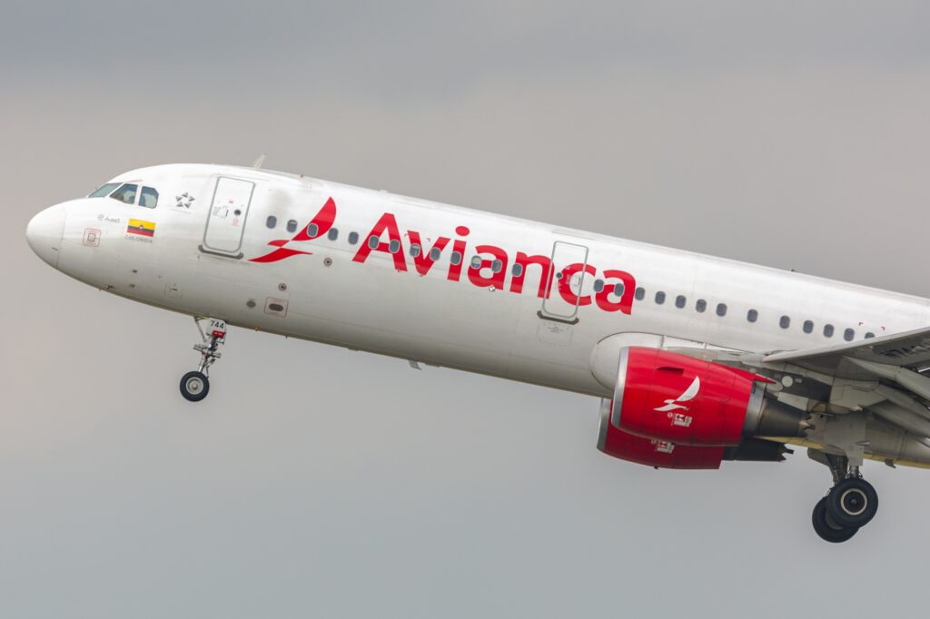 Following a bird strike impacting an Airbus A320's engine, Avianca is pleading with Aerocivil for more measures against bird strikes