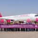 Airbus delivered the first A321neo from the Tianjin FAL