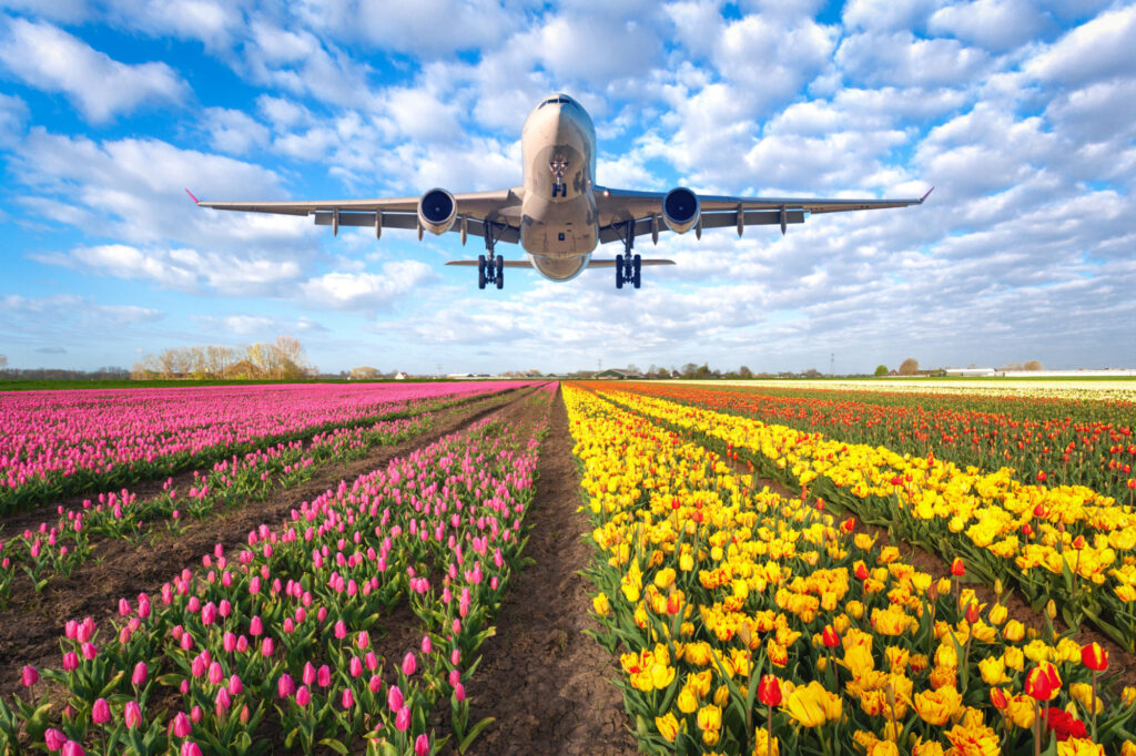 Shutterstock 666316279 Shutterstock_666316279