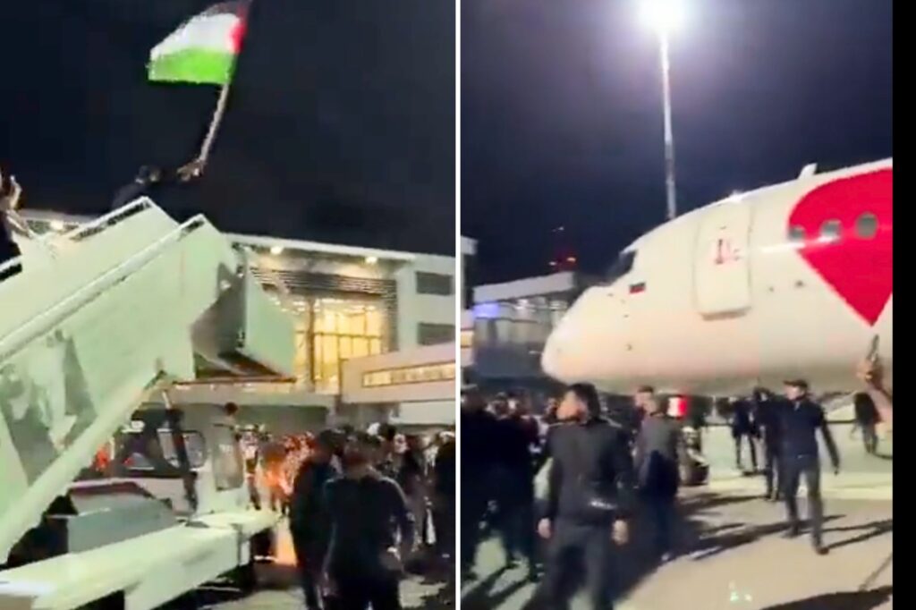 Untitled design (17)