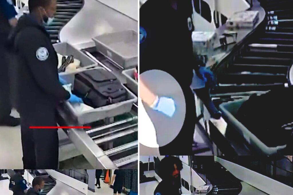 Untitled design 19 Untitled design (19)