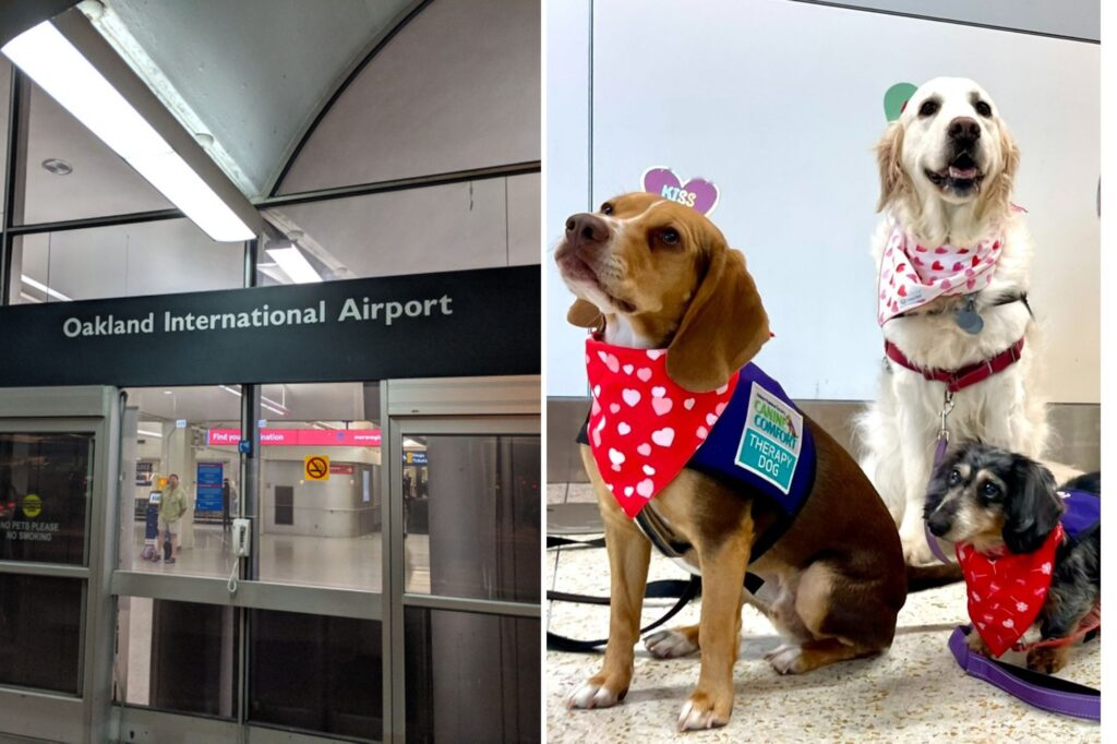 Untitled design (23)