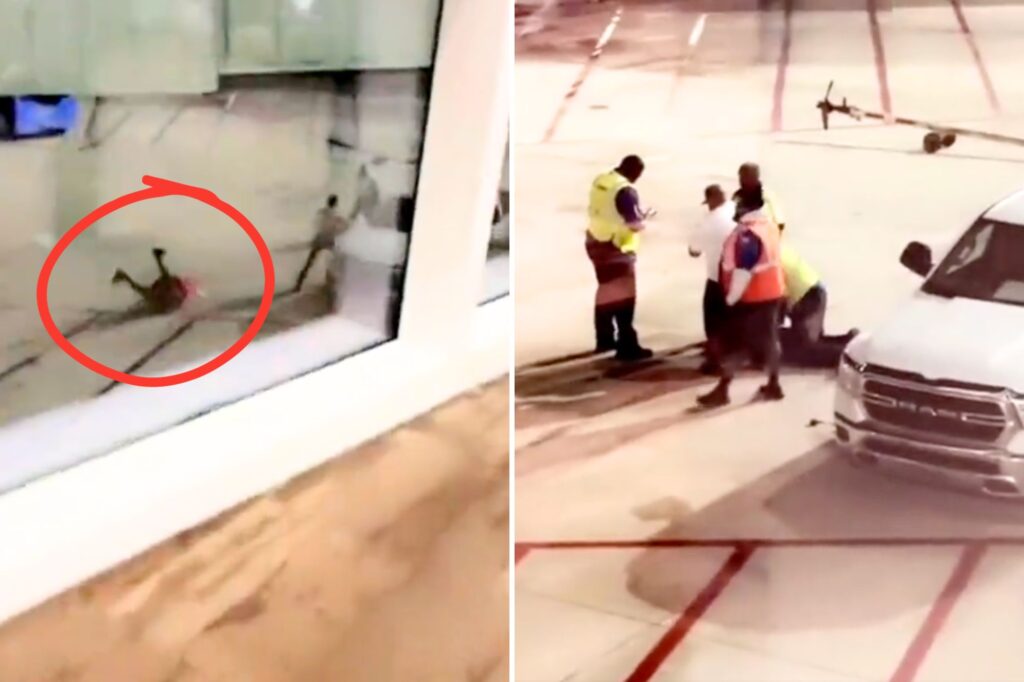 Untitled design 24 Untitled design (24)