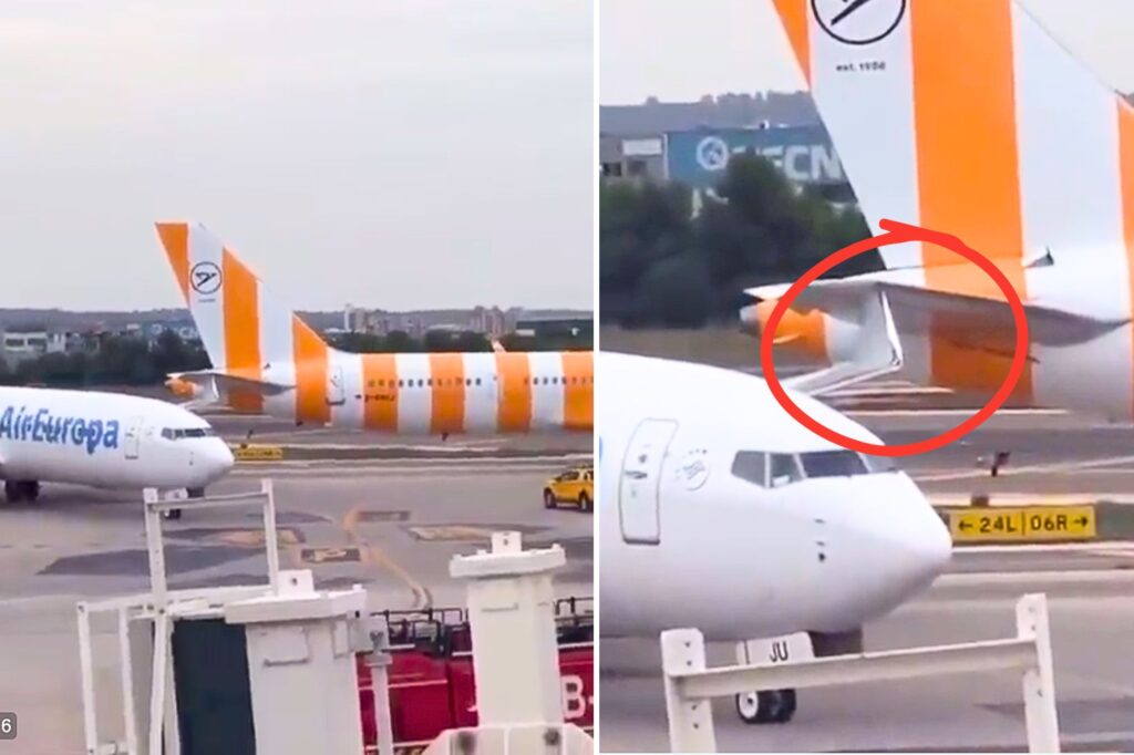 Untitled design (25)