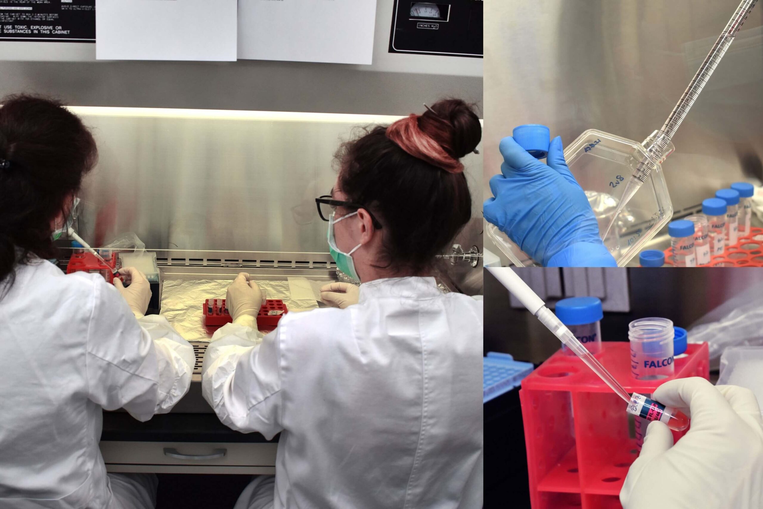 airbus_and_the_university_of_zurich_are_bringing_an_experiment_to_grow_3d_organoids_into_space-1.jpg