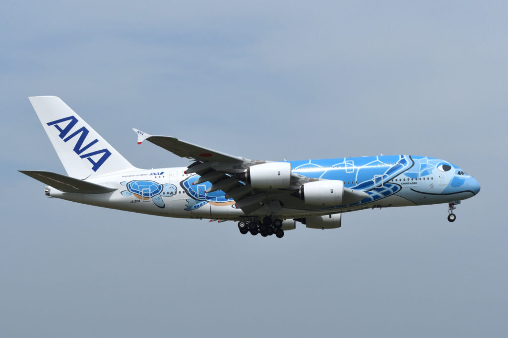 ana_airbus_a380_in_flying_honu_scheme.jpg