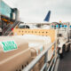animals_in_the_box_to_board_the_plane.jpg