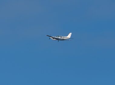 Venomous Cobra in Plane Forces South African Pilot to Make