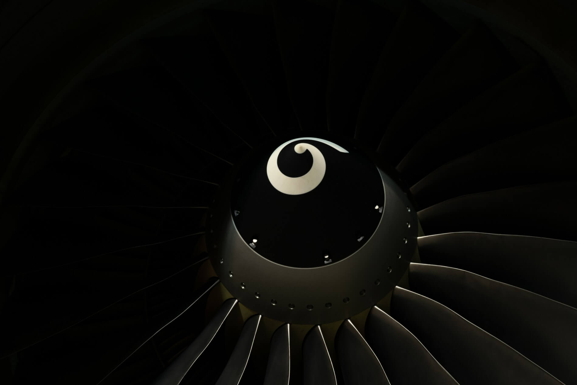 boeing_737-800_ng_cfm56-7b_engines_spinner_and_fan_blades.jpg
