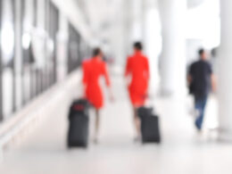 flight attendants