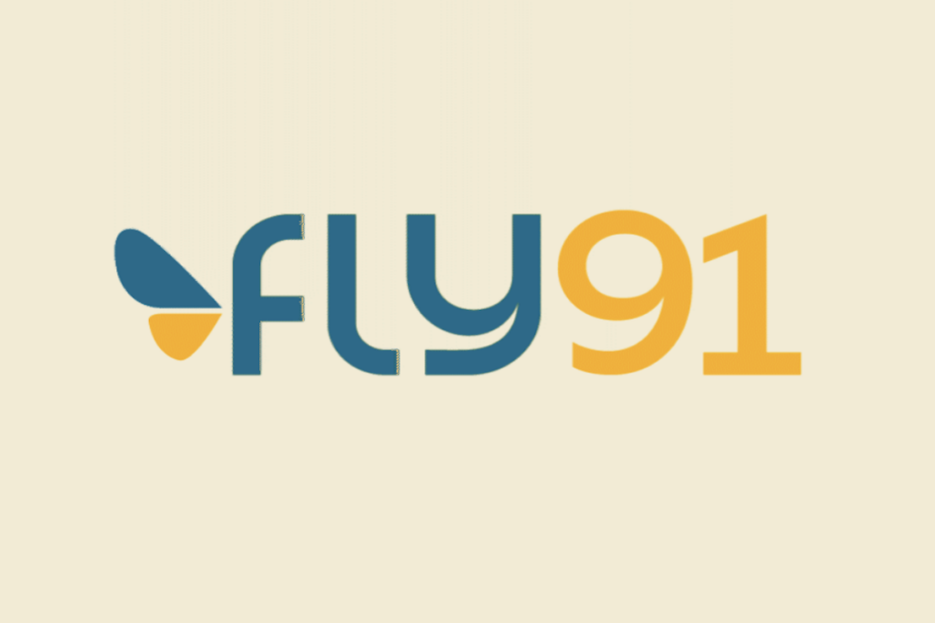 fly91